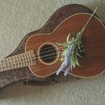 Profile Picture of Maxine Maxwell (@maxwell_maxine) on Instagram