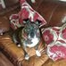 Profile Picture of Terry Tyndall (@terry.tyndall.796) on Facebook