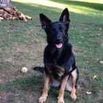 Profile Picture of Brian Couse (@briancouse) on Instagram