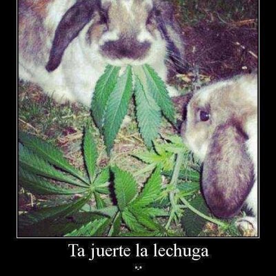 Profile Picture of Julio Duran (@12Julioduran) on Twitter