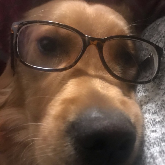 Profile Picture of Monique Jessey (@vi_mj) on Poshmark