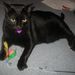 Profile Picture of Jasper Adamson (@jaspera) on Pinterest
