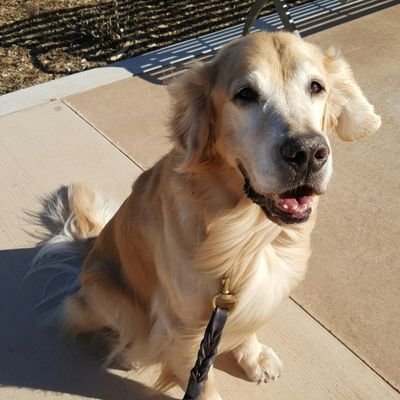 Profile Picture of Doug Gibson (@douggibson_) on Twitter