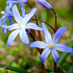 Profile Picture of Pamela Alvarez (@pam alva) on Flickr