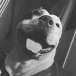 Profile Picture of Ray Munoz (@elraymanos) on Instagram