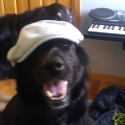 Profile Picture of Jennifer Glidden (@jenniferglidd) on Twitter