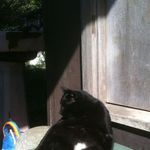 Profile Picture of Julianne Woodruff (@moorakpottery) on Instagram