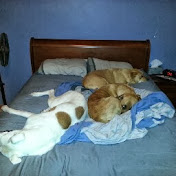 Profile Picture of Matthew Justus (@matthewjustus212) on Youtube