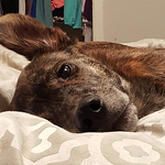 Profile Picture of John Mitchell (@mitchell.john94) on Flickr