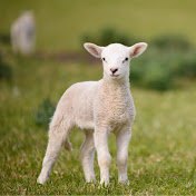 Profile Picture of Drew Woods (@Drew32296) on Youtube