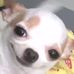 Profile Picture of Emilio Verdugo (@emilio.verdugo.925) on Facebook