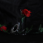 Profile Picture of Alex Cuadra (@cuadraa123) on Flickr