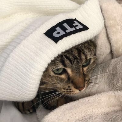Profile Picture of Joseph Barros (@JosephBarros15) on Twitter