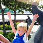 Profile Picture of Joe Corella (@joe_corella) on Instagram