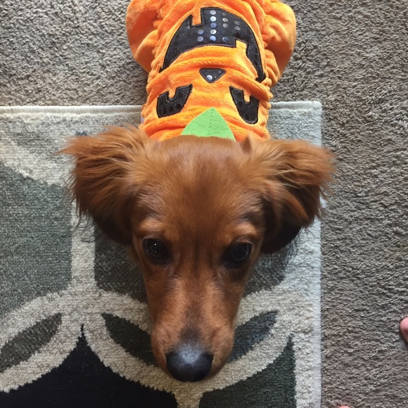 Profile Picture of Natalie Rosenau (@natros123456) on Poshmark