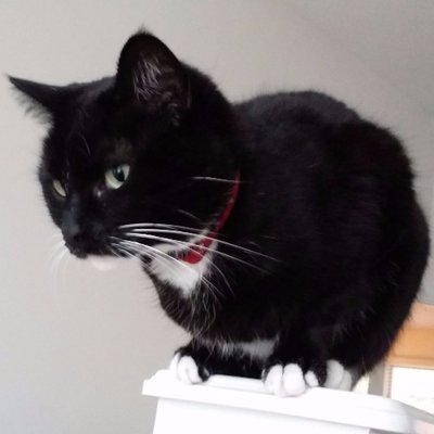 Profile Picture of Loretta Jones (@loretta43) on Twitter