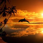 Profile Picture of James Lafont (@james.lafont.5) on Facebook