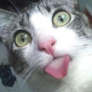 Profile Picture of Stevie Pelo (@stevie.pelo) on Facebook