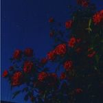 Profile Picture of Venancio garcia (@venancio_101) on Instagram