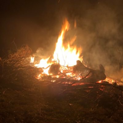 Josh Chappell - Twitter Profile Picture of Josh Chappell (@joshchappell14) on Twitter