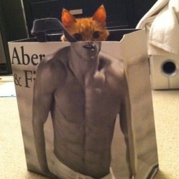 Profile Picture of Alec Vascellaro (@smartalek1129) on Poshmark