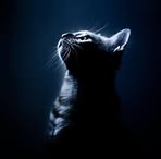 Profile Picture of Andrew Writes (@andrew.writes.2025) on Facebook