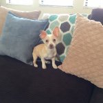 Profile Picture of Chloe Baer 💕 (@chloe_baer_) on Instagram