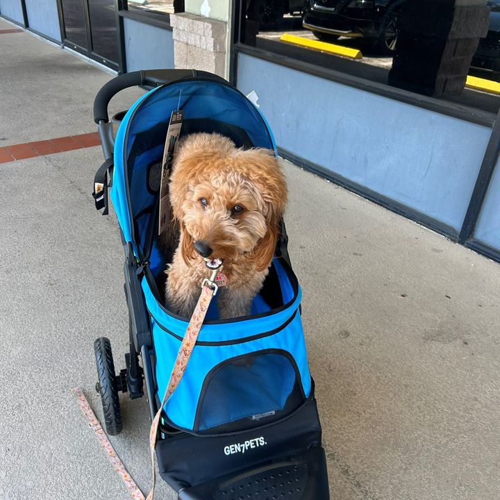 Profile Picture of Brett (@.brett2) on Tiktok