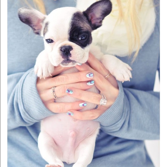 Profile Picture of Tingting Shiue (@shoeting) on Poshmark