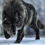 Profile Picture of Brian A. Miranda (@_brian.a.miranda_) on Instagram