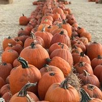 Profile Picture of Hismo N Stacie Garza (@hismo-n-stacie-garza) on Quora