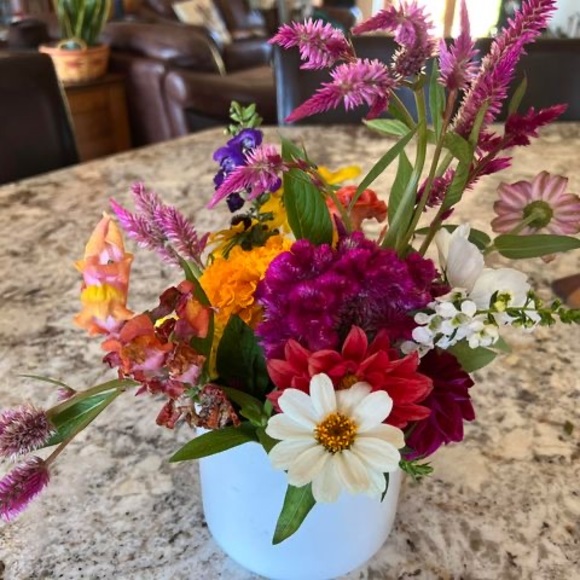 Profile Picture of Carla Whitebread (@cwhitebread2) on Poshmark