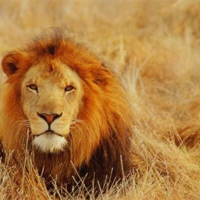 Profile Picture of Adam Hallett (@adamhallett) on Twitter