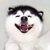 Profile Picture of Peter Yuan (@peteryuan8758) on Youtube