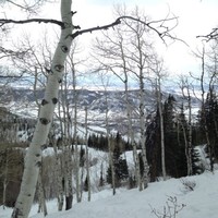 Profile Picture of Joseph Tomei (@joseph-tomei-3) on Quora