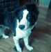 Profile Picture of Bill Nevins (@bill.nevins.14) on Facebook