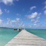 Profile Picture of Isabel Neto (@isabelneto) on Instagram