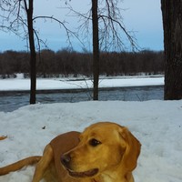 Profile Picture of Dustin Knutson (@dustin-knutson) on Quora