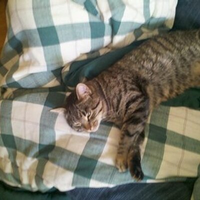 Profile Picture of R. Dave Blagg (@Daveblagg) on Twitter