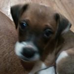 Profile Picture of Doris Combs (@combsdoris) on Instagram