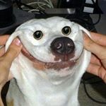 David Buriánek - Instagram Profile Picture of David Buriánek (@davidbur06) on Instagram