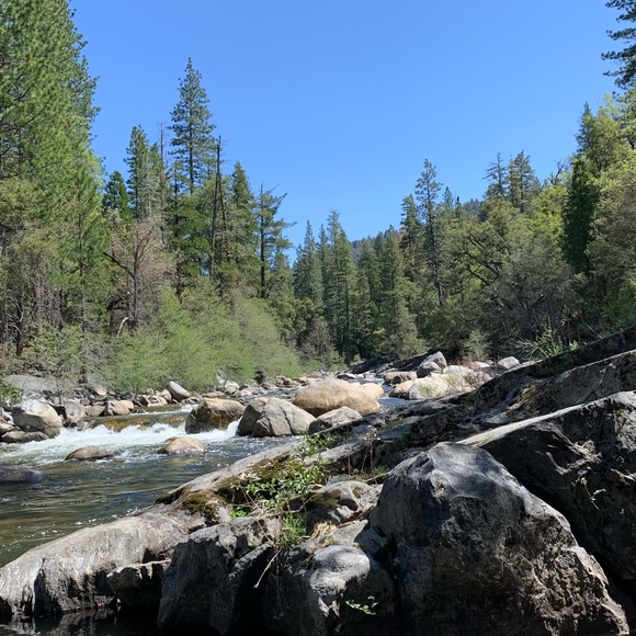 Profile Picture of Liz Aliotti (@cali_lizin) on Poshmark