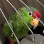 Profile Picture of Edna (@edsiot17) on Instagram