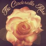 Profile Picture of Jenelle Denise Owner (@therealcinderellarose) on Instagram