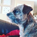 Profile Picture of craig abrams (@abramscraig) on Instagram