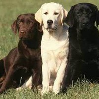 Profile Picture of Dane Harrison (@dane-harrison-7) on Quora