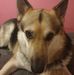 Profile Picture of Paula Mcdougall (@paula.mcdougall.7) on Facebook