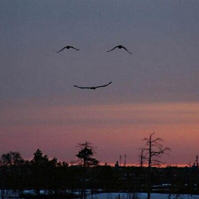 Profile Picture of Kim Spangler (@KimSpangler1) on Twitter