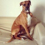 Profile Picture of Yeager (@tashahintonsss) on Instagram