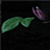 Profile Picture of Carl Sharpe (@ThinkBasic) on Flickr